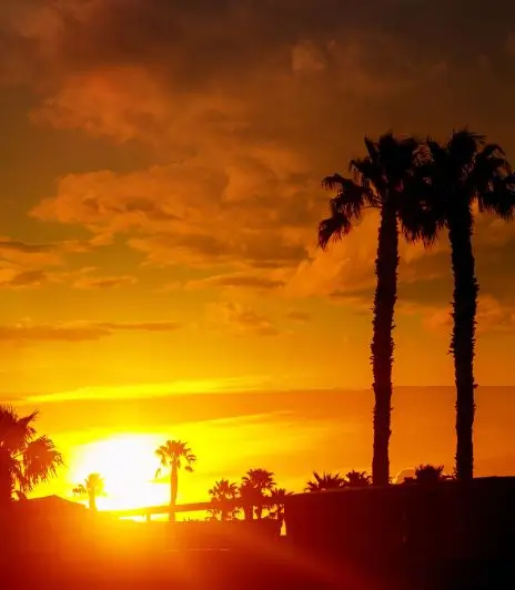 Tucson Property Management Alt